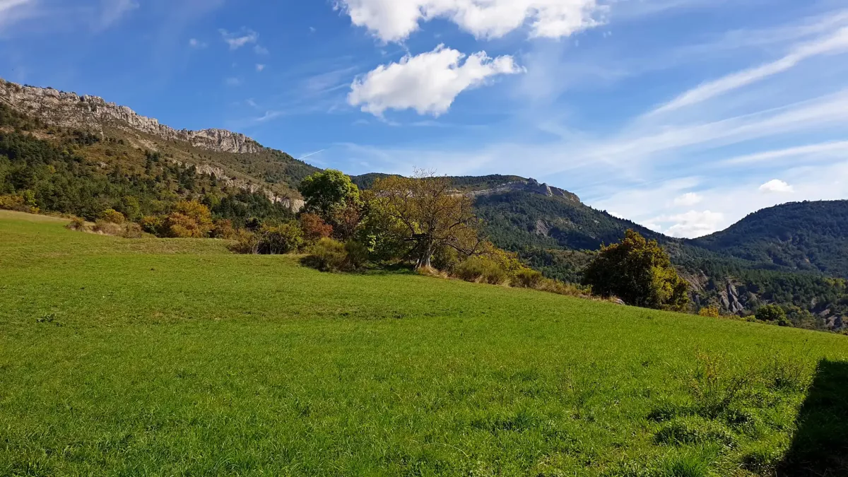 La chambre des lutins